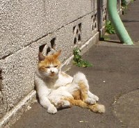 �ӂ��A�������Ȃ��B�����I