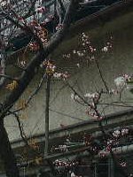 �~���炫�n�߂�