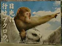 �����ɁA�s���u�N���E�B