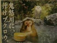 �S�{��ɁA�s���u�N���E�B