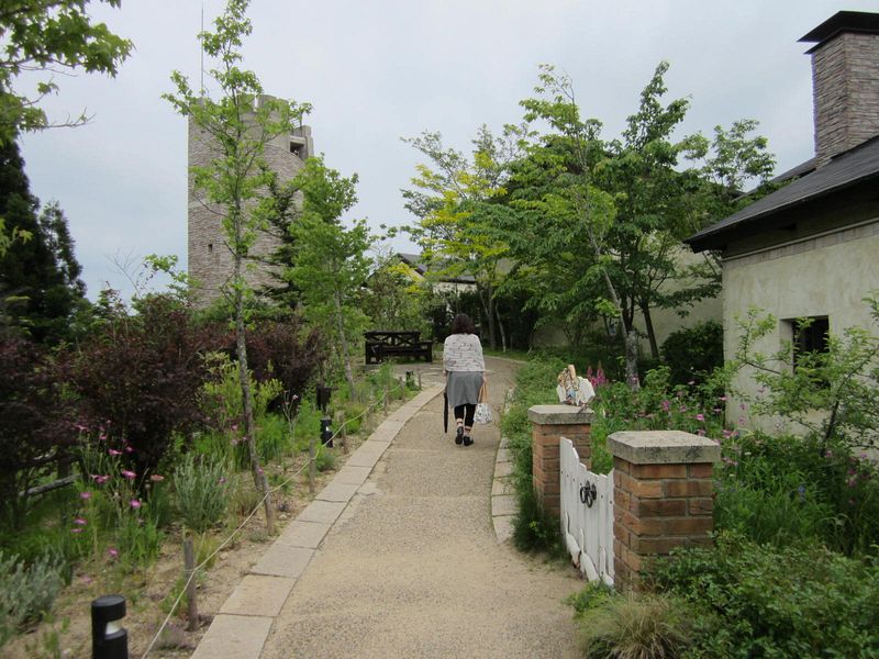 4952　ちょっとだけ六甲山行ってみる