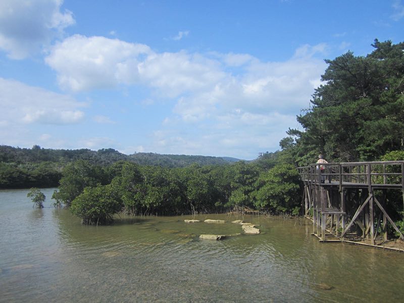 5143　沖縄一週間（5日目）