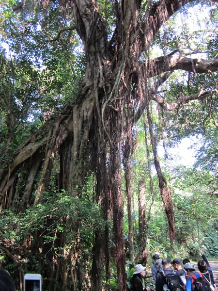 5145　沖縄一週間（7日目）