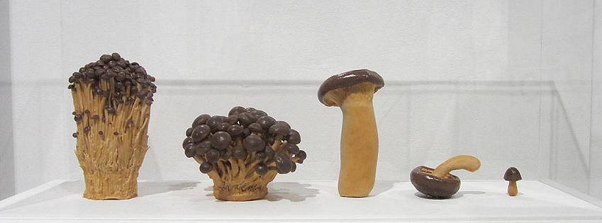 ［社会の窓］勝手に常識にしてしまう