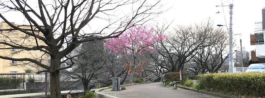 ［社会の窓］ここから春が始まる