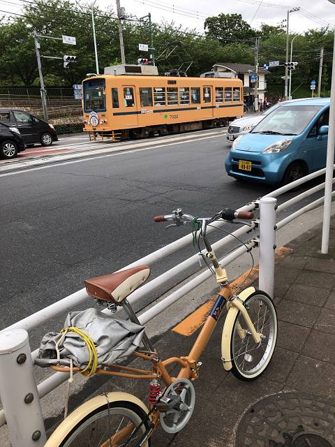 5177　お別れの散歩