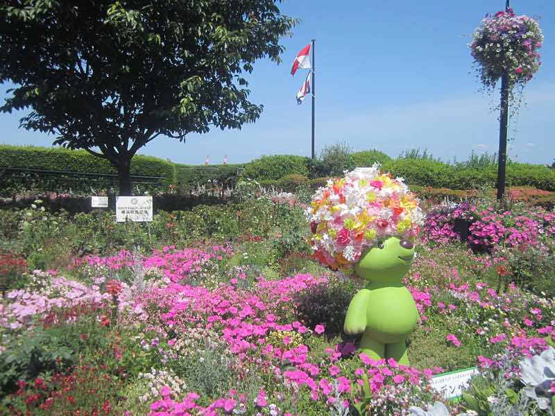 5182　ガーデンネックレス横浜2017を歩く（2日目）