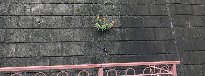 ［社会の窓］知らなかった素性