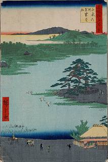 5230　名所江戸百景「千束の池袈裟懸松」