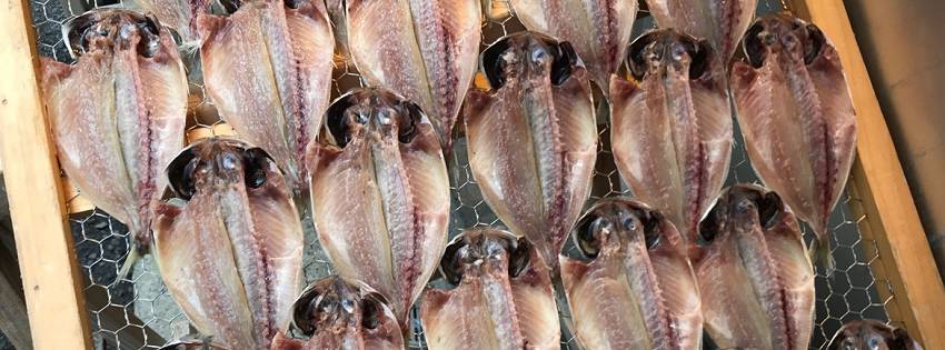 ［社会の窓］熱海