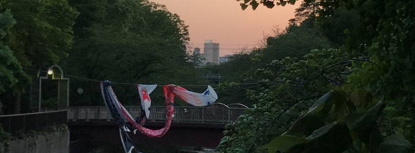 ［社会の窓］泳げない鯉のぼり