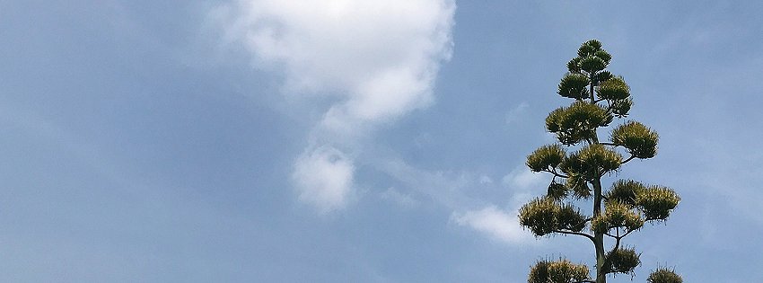 ［社会の窓］30年～50年に一度の光景