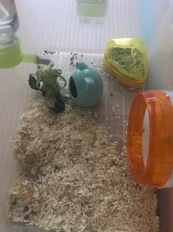 5552　そろそろ…