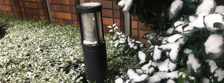 ［社会の窓］大雪…にならず