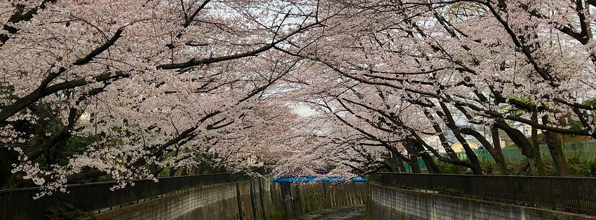 ［社会の窓］平成最後の…