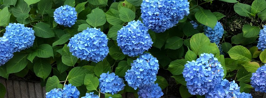 ［社会の窓］梅雨入りした昨日と今日は…