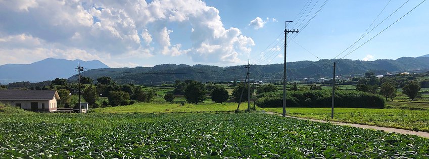 ［社会の窓］夏休み
