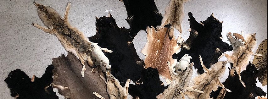 ［社会の窓］生と死の中間のような…