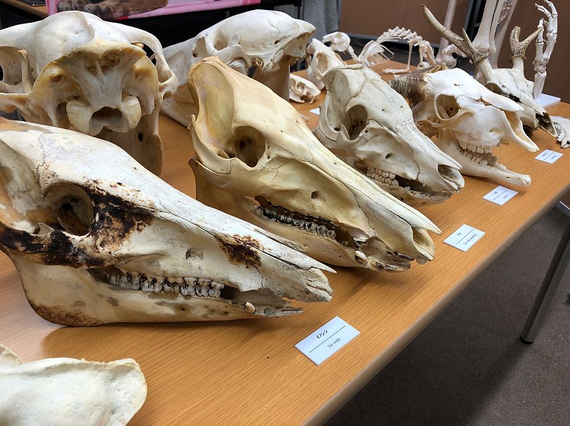 5828　触れて感じる意味