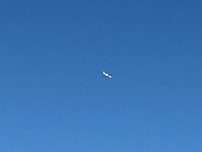 5839　もうみんな決まってることだと思うと…