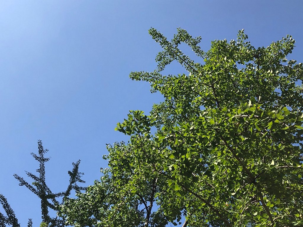 6107　2週間ぶりの出社