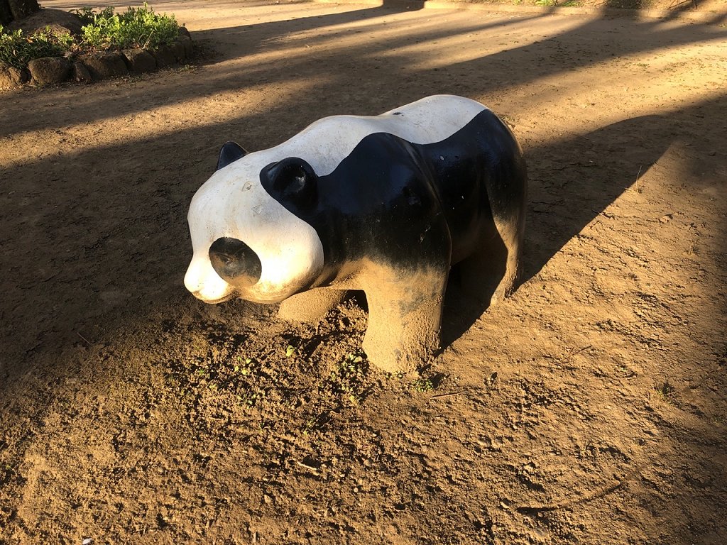 6261　パンダって？