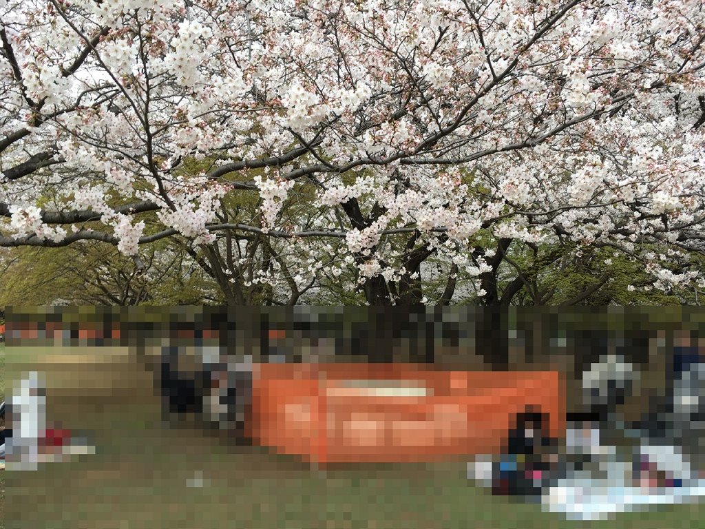 6285　花見にモザイク