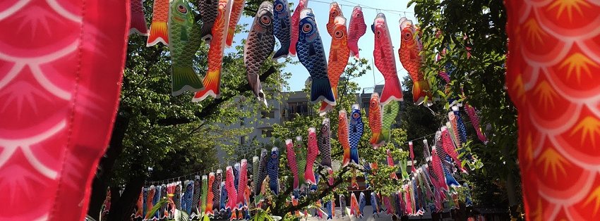 ［社会の窓］こいのぼりだらけ