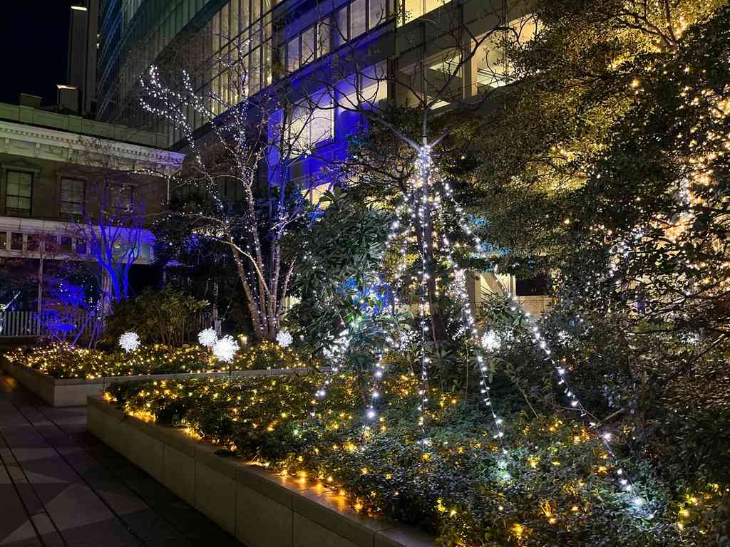 7670　2024年12月の汐留を歩く