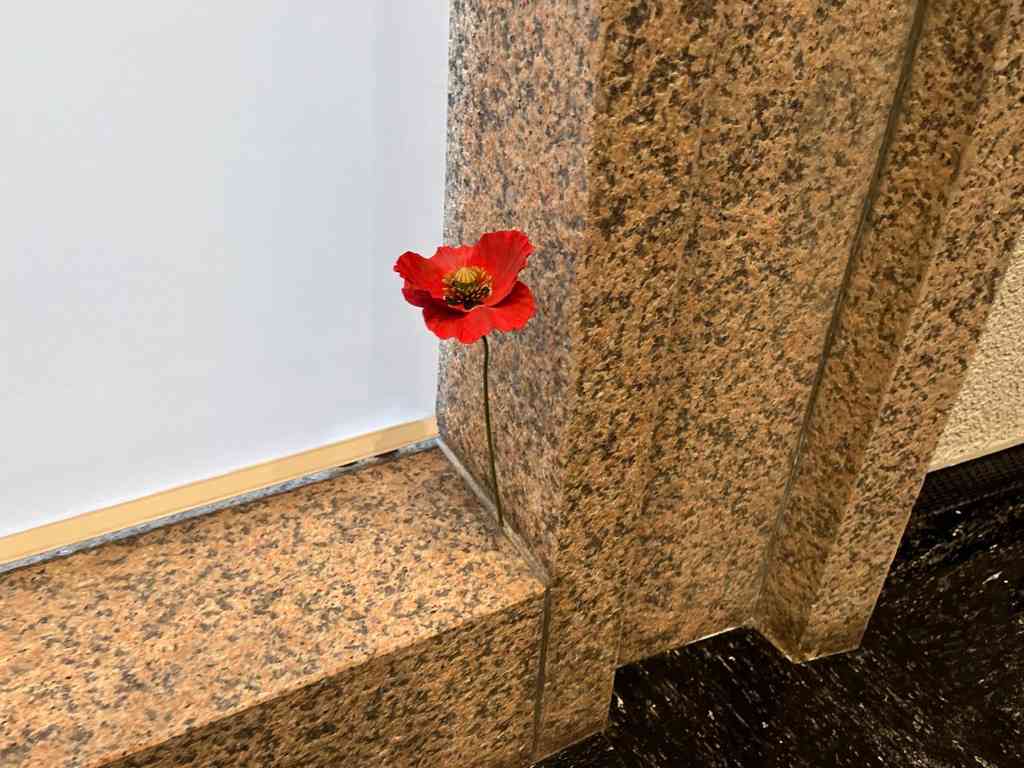 7714　須田悦弘展