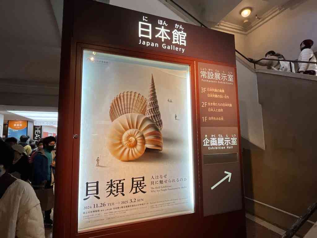 7741　企画展「貝類展」