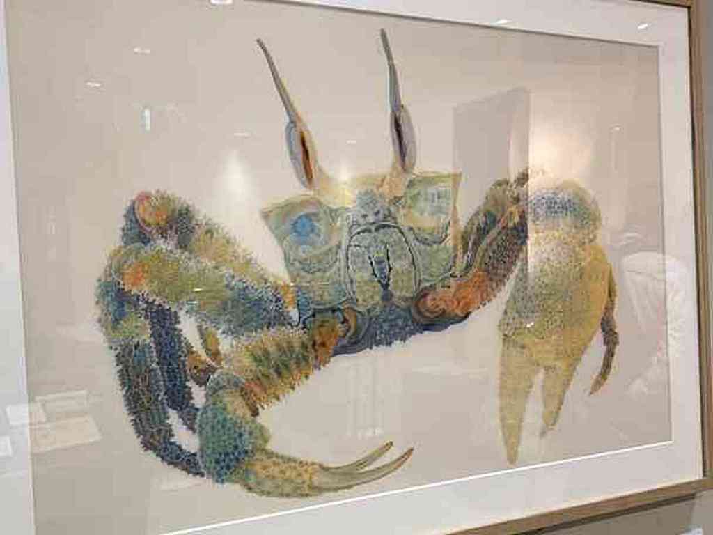 7746　特集展「お札の模様 流線が描くArt  工芸官作品展」