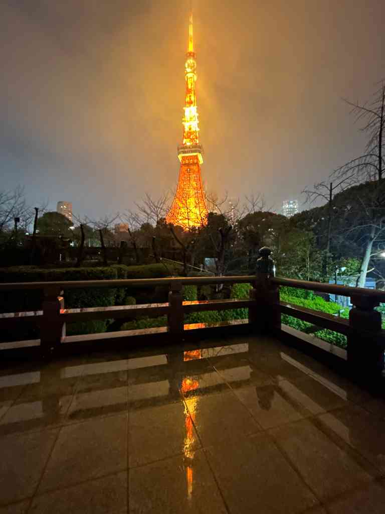 7749　この冬以降初の積雪？