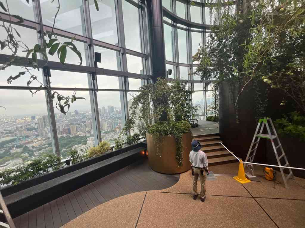 7956　朝の空中庭園へ