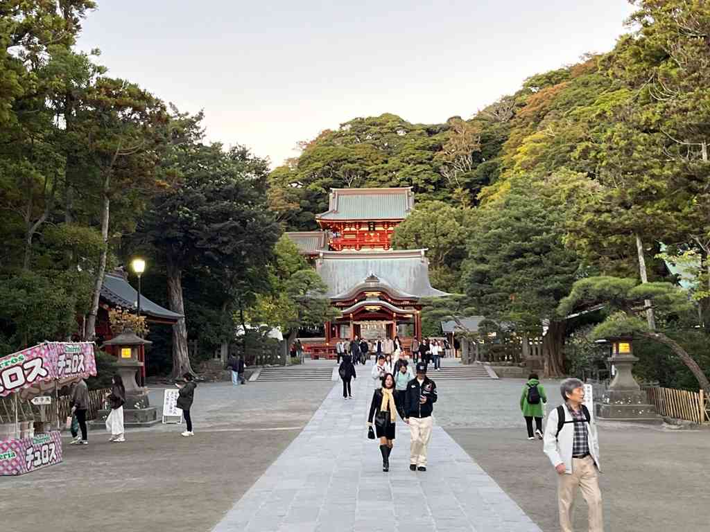 8005　ちょっとだけ鎌倉