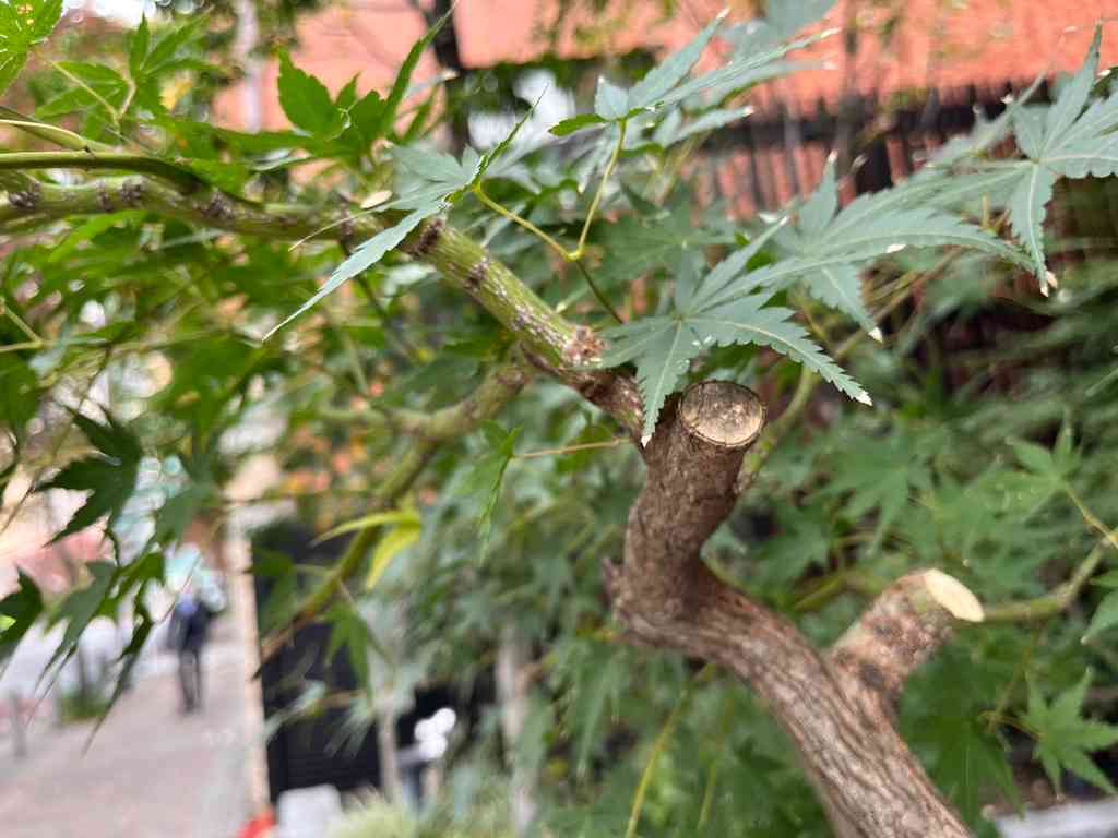 8008　切られていた