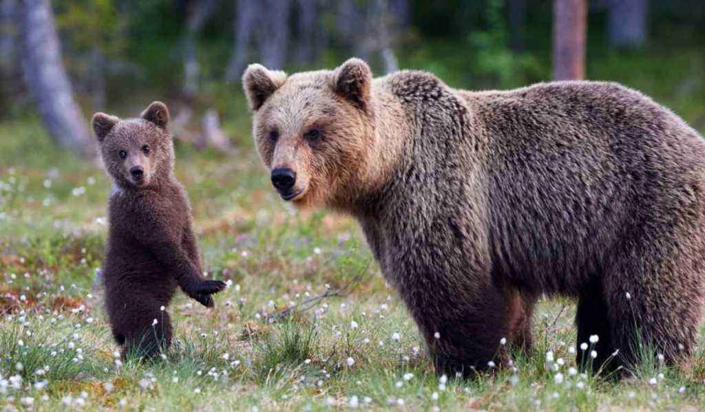 8016　よりにもよって…