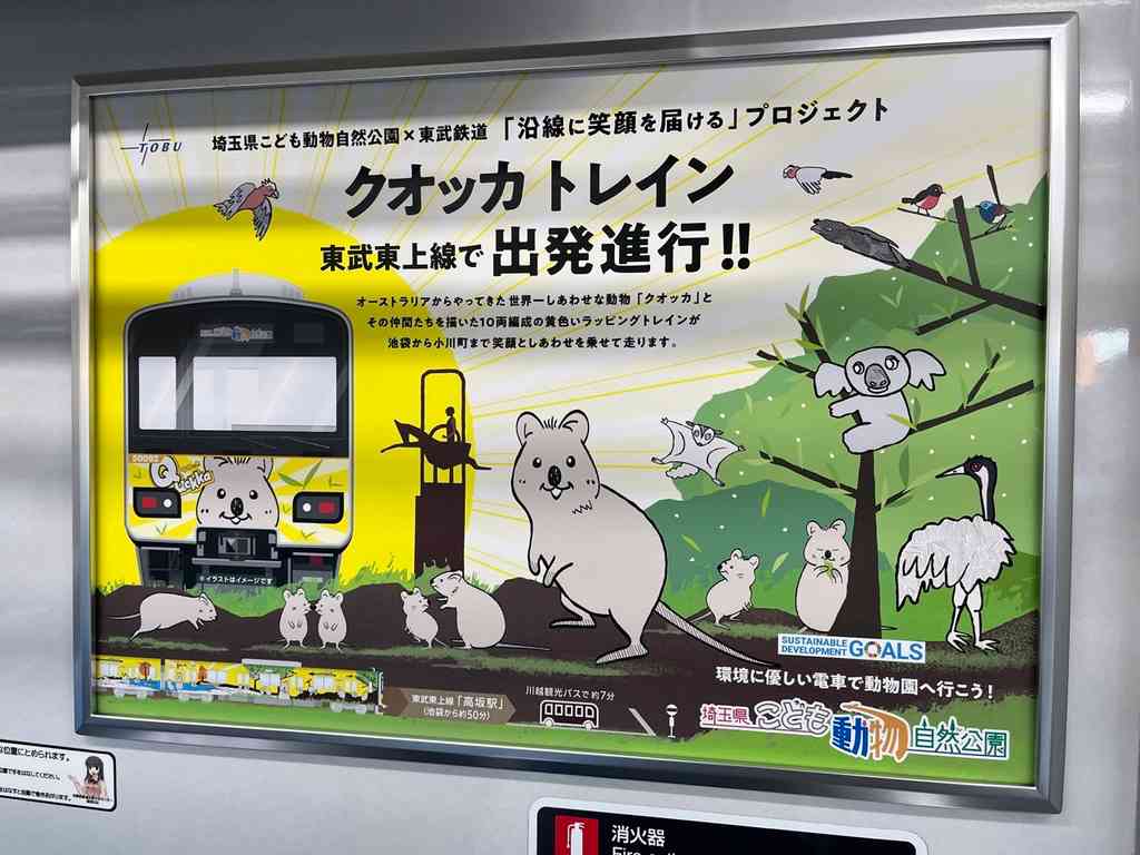 8054　クオッカトレイン