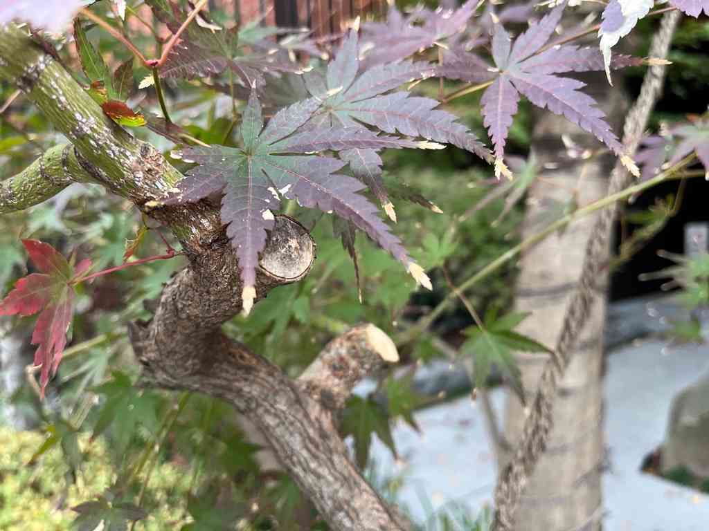 8058　よかったのか悪かったのか