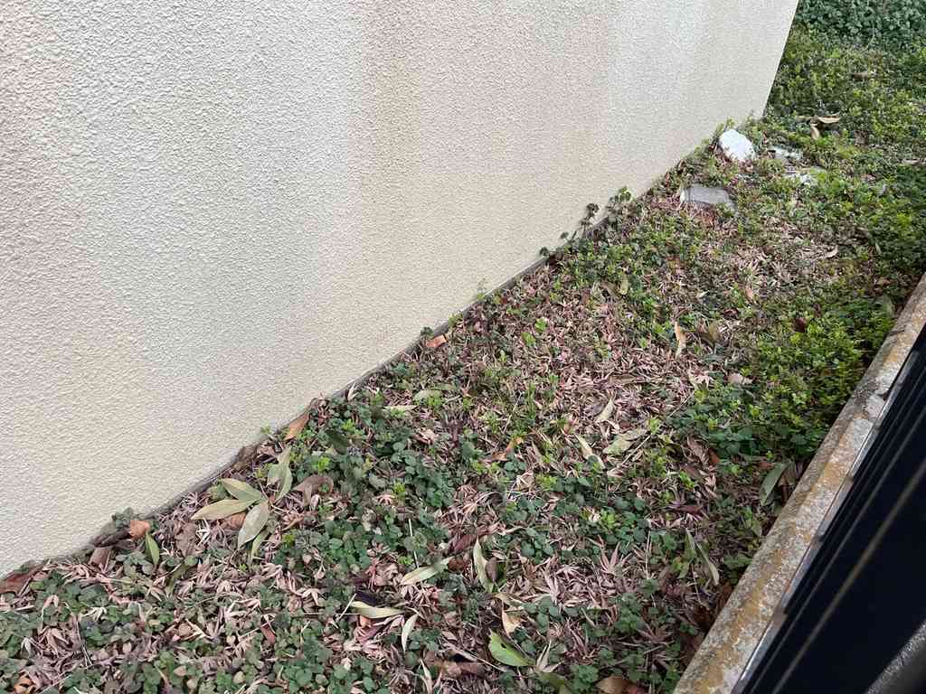 8100　校舎の脇で思い出した非常識