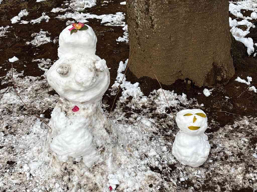 8108　2026年2月28日